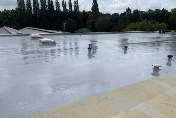 Dakrenovatie Intratuin Utrecht