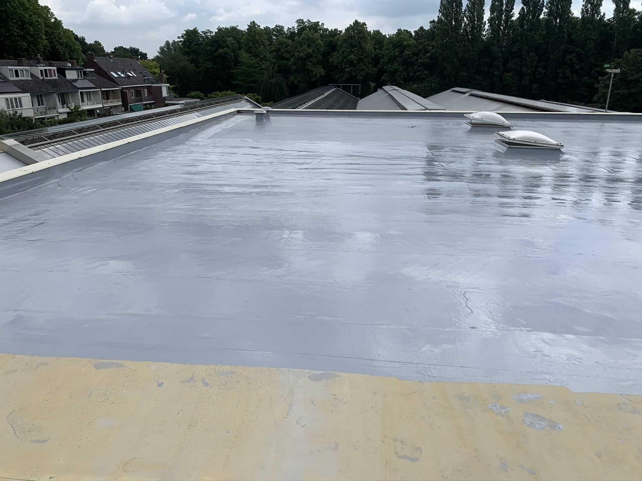 Dakrenovatie Intratuin Utrecht